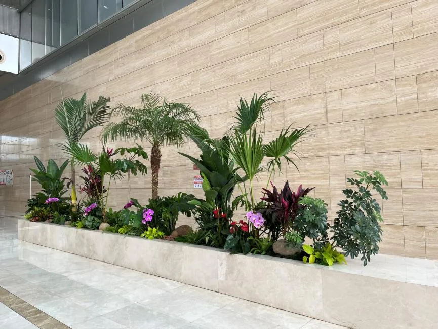 宁波植物租赁公司