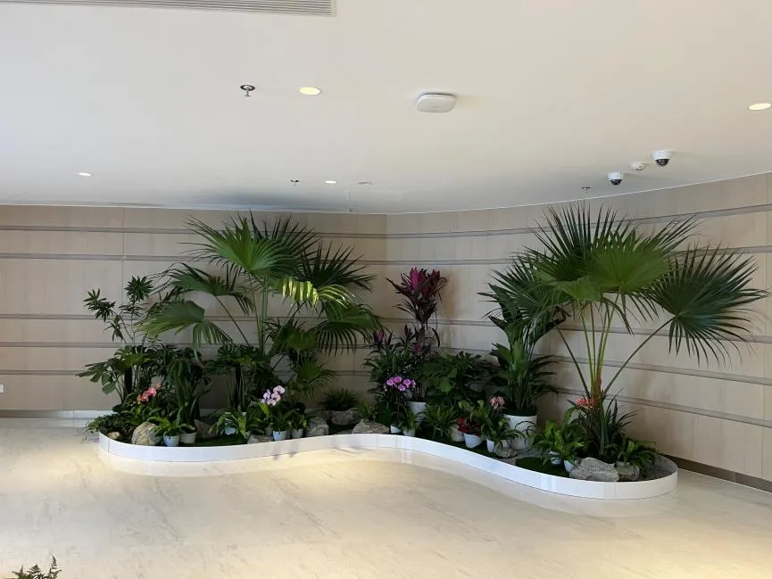 海曙花卉租摆价格究竟几何？这里有答案！