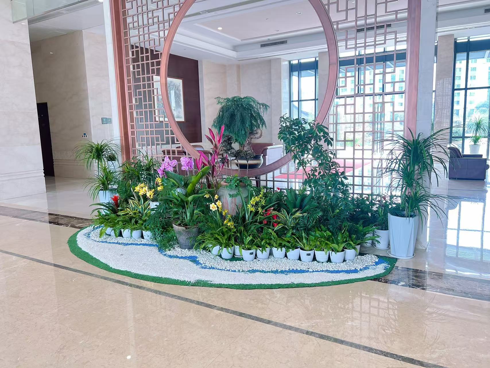 揭秘余姚植物租赁公司，如何让绿植焕发生机